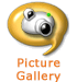 Member Picture Gallery